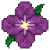 VioletCraft favicon