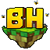 BeeHollow favicon