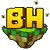 BeeHollow favicon