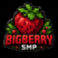 BigberrySMP favicon