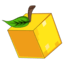 Citrus smp favicon