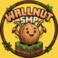 WallnutSmp favicon